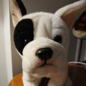*Rare* French Bulldog Plush Stuffed Animal